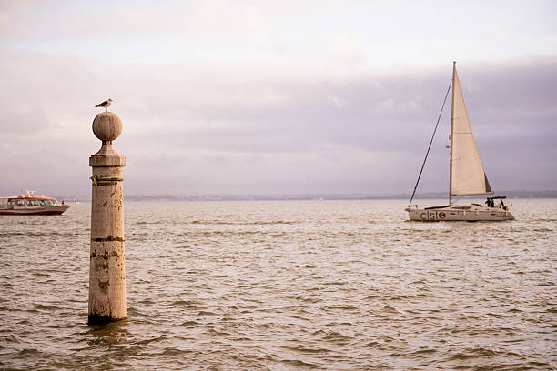 Lisbon Portugal December 05 2025. A seagull stands on a stone river navigation marker in the Tagus River with a sailboat in the background.