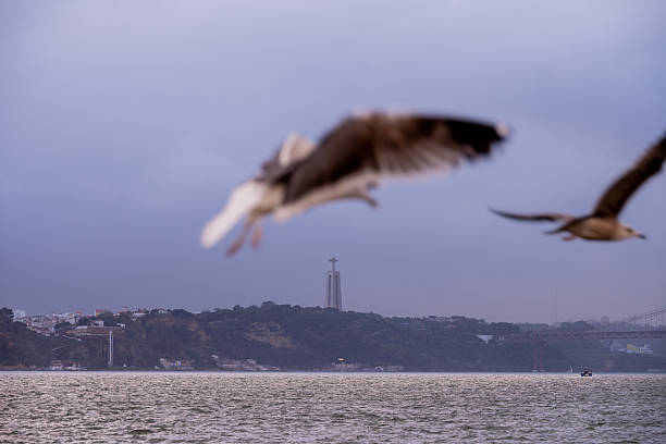 Lisbon Portugal December 05 2025. The 25 de Abril Bridge spans the Tagus River near port cranes under heavy clouds.