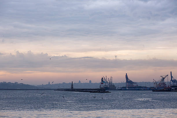 A serene view of the Istanbul port during twilight, with a lighthouse marking the coastline and large cranes visible in the background. Birds fly over the water as the city skyline looms in the distance, offering a peaceful contrast to the bustling industrial landscape.