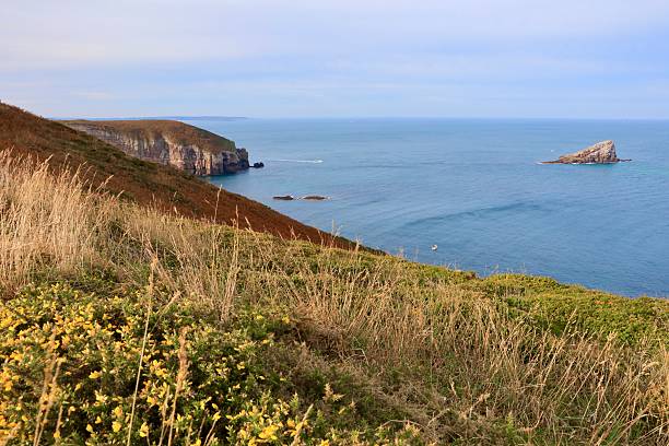 istock Wild Flowers on the Cliff side looking down to Cap Frehel, Normandy 2252775700