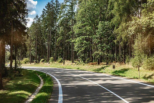 Empty forest road bending through tall trees and greenery. Peaceful countryside transportation scene in Czech Republic, Europe with copy space.