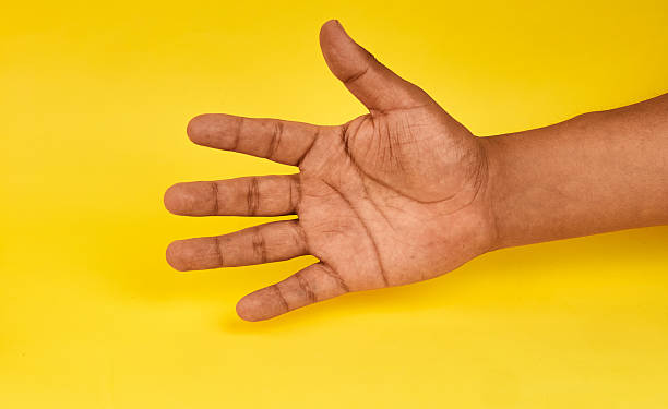 istock An open hand representing invitation connection human interaction and the willingness to offer help or receive support. 2252777834
