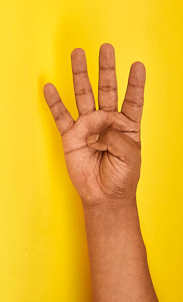 istock A hand showing four fingers symbolizing counting learning progression and the clear communication of numerical concepts. 2252777879