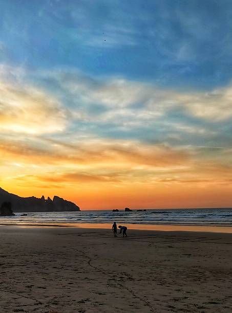 istock Aguilar beach in Asturias, Spain 2252781296