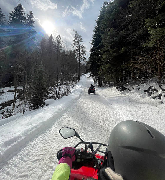 istock Two riders navigate a snowy trail surrounded by dense trees in bright daylight 2252782490
