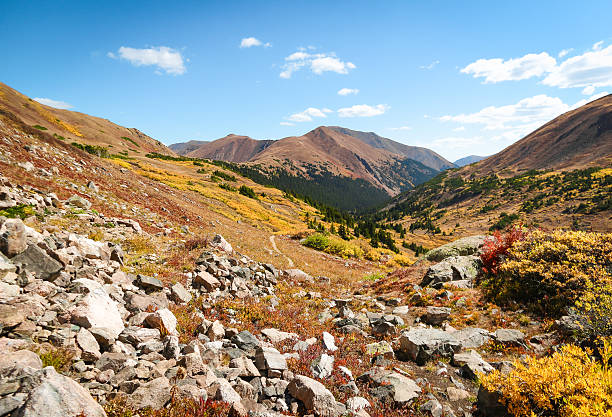 Hermann Gulch in the fall. Rocky trail lined with alpine shrubs changing to bright autumnal colors.