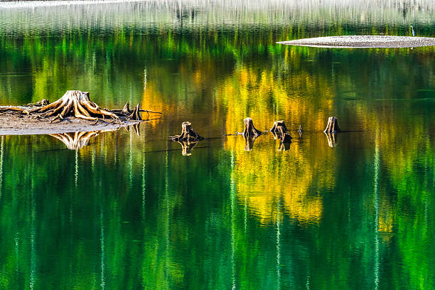 Colorful Rattlesnake Lake Reflection Abstract North Bend Washington. Lake is spring fed by nearby Cedar River. Autumn creates many colorful reflection abstracts from fall leaves.