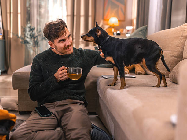 istock relaxed man enjoying a quiet moment at home 2252805683