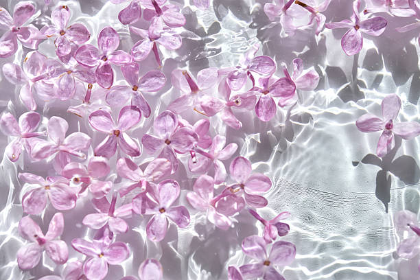 Abstract background with water and flowers. Space for the text. High quality photo.