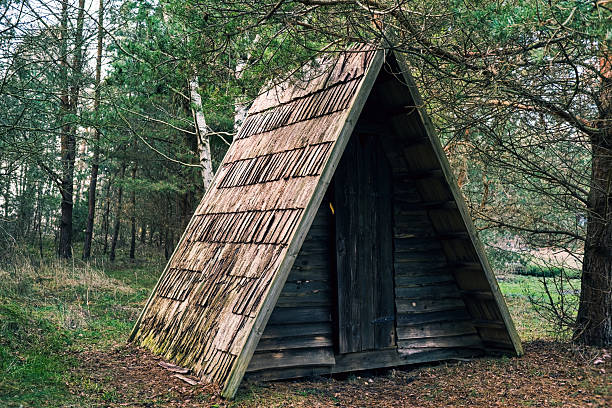 Rustic wooden A-frame cabin hidden among pine trees in a quiet forest, old weathered hut with mossy roof, concept of wilderness shelter, eco tourism and adventure camping.