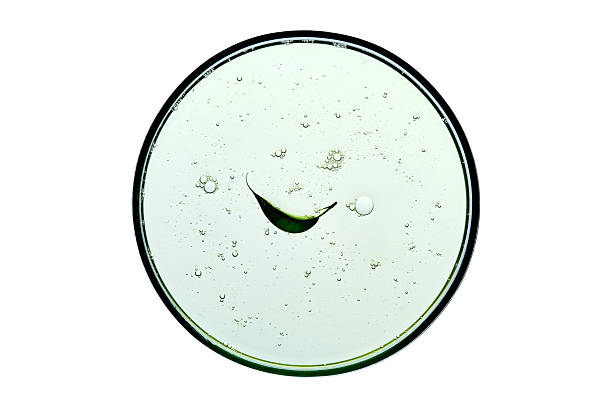 istock Cosmetic gel in a petri dish with a leaf. 2252808724