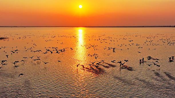 istock A flock of migratory birds flying at sunset 2252809413
