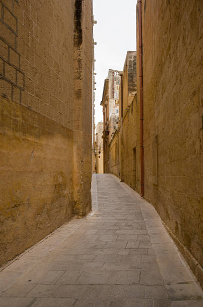 istock Narrow Alleyway in Mdina 2252810149