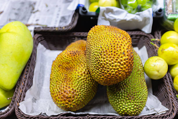This close-up image captures a cluster of whole jackfruits resting in a dark brown woven basket lined with newspaper. The fruits exhibit their distinctive bumpy, pebbled rinds, with colors transitioning from green to yellowish-brown, indicating they are ripe. To the left, a large, smooth green mango is partially visible in a separate container, while a pile of small, round, shiny yellow-green fruits sits on the right, creating a varied and colorful fruit stand composition.