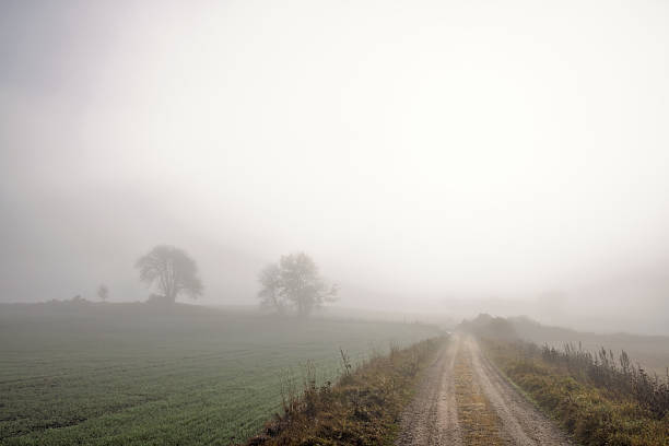 Misty autumn day with a dirt road in a rural landscape view