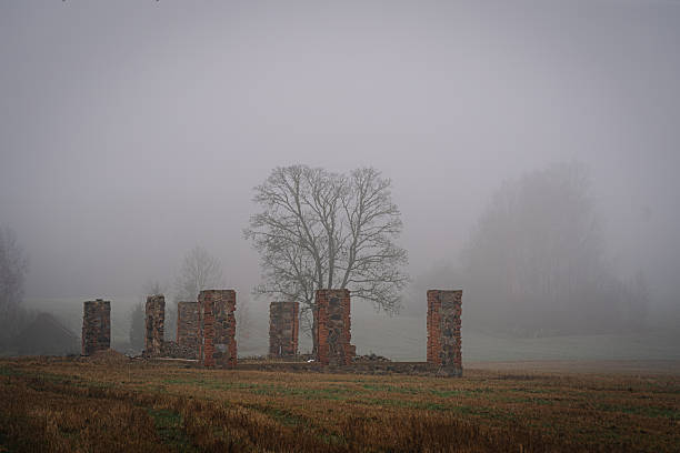 Foggy landscape featuring ancient stone ruins surrounded by a misty atmosphere, with a solitary tree in the background creating a serene and mysterious ambiance