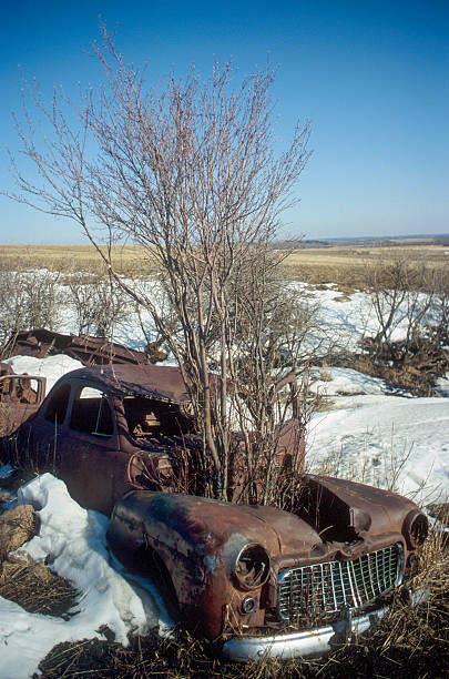 Ponoka County, Canada - January 28, 2007. Outdoor scene showing the wreck of a classic automobile rusting away in the countryside of Alberta, Canada.