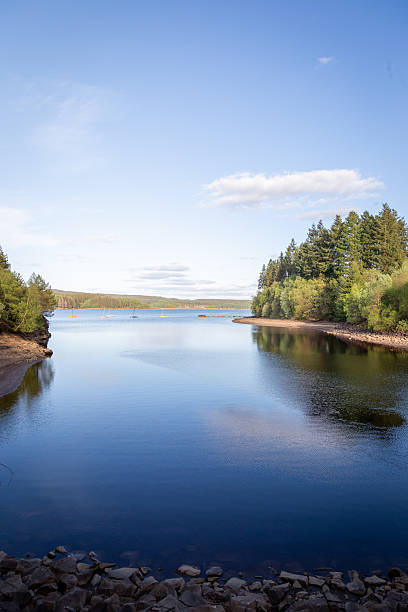 istock Kielder Reservoir, Northumberland May 2025. 2252817860