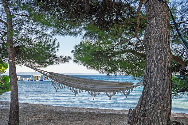 Idyllic summer vacation scene featuring a white hammock hanging between pine trees on a pebbly beach with a view of the blue sea and distant islands