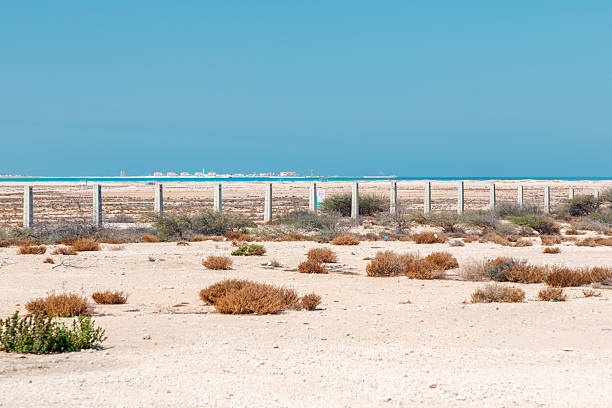 istock Qatar, Desert coastline with weathered fence, sparse shrubs, and distant sea under clear blue sky 2252828178