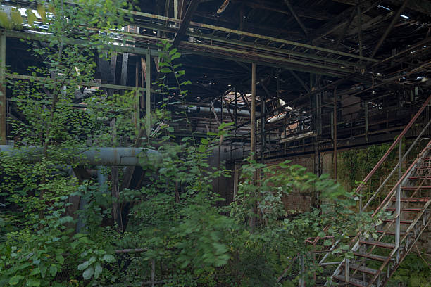 Interior view of an abandoned industrial building featuring graffiti-covered walls, deteriorating architecture and invasive vegetation. The scene reflects urban decay, post-industrial decline and the interaction between human structures and nature over time. No people are present.