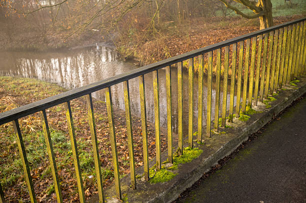 Metal railing with green moss along a bridge crossing a small stream in a park
