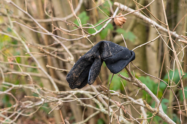 Dirty black glove hanging on barren tree branches, representing loss and litter