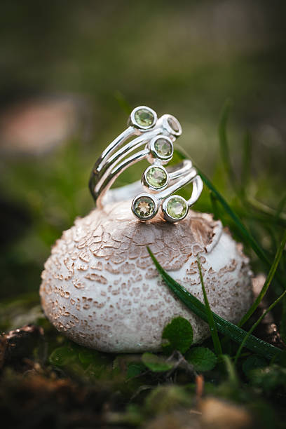 istock Precious ring with a gem on a mushroom 2252831946