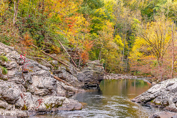 istock Pooling water at the Sinks waterfall in the great Smoky Mountain 2252833572
