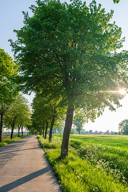 istock Nature in East Flanders 2252833632
