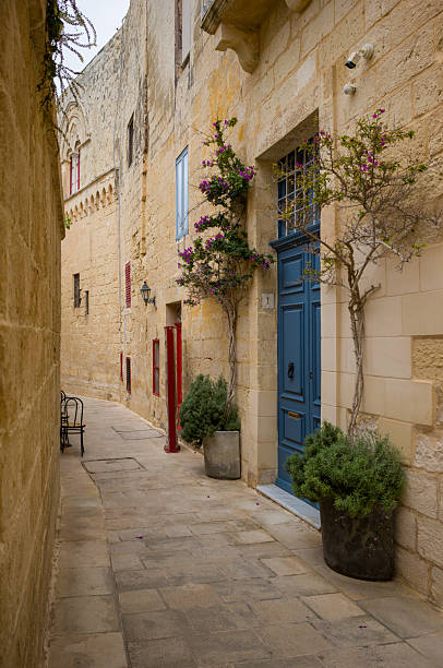 A quiet street in Mdina, Malta, showcases the city's historic architecture. The blue door and potted plants add charm, inviting exploration of this ancient walled city.