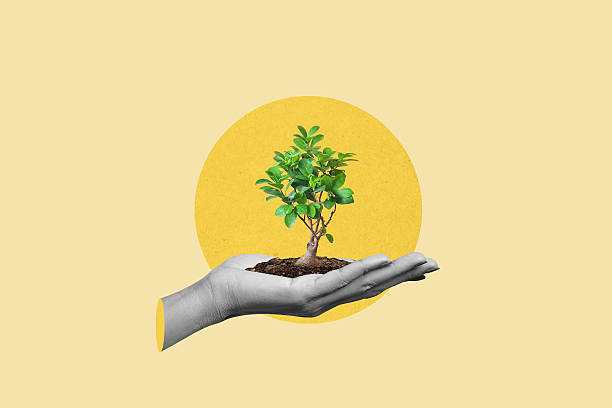 istock Earth day and environment day concept background 2252836076