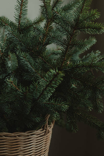 istock Simple christmas decor with natural winter greenery 2252840285