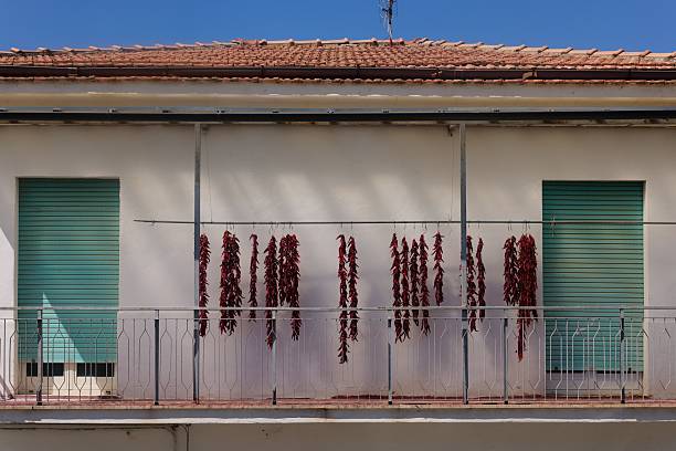 Clusters of vibrant red chili peppers are drying, hanging from a clothesline strung across a white balcony.