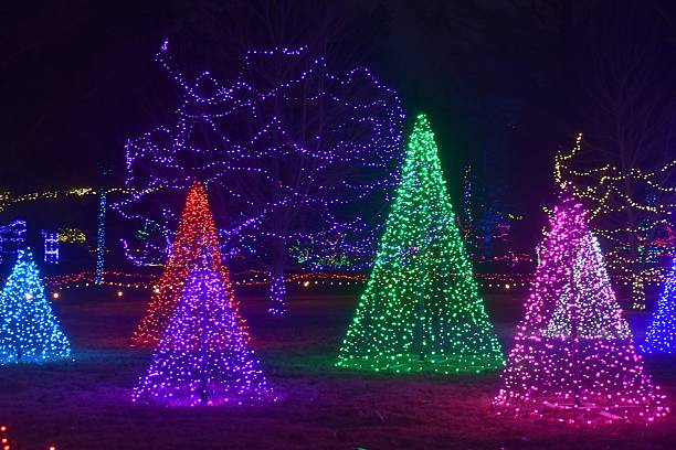 istock Christmas Trees of Lights 2252847055