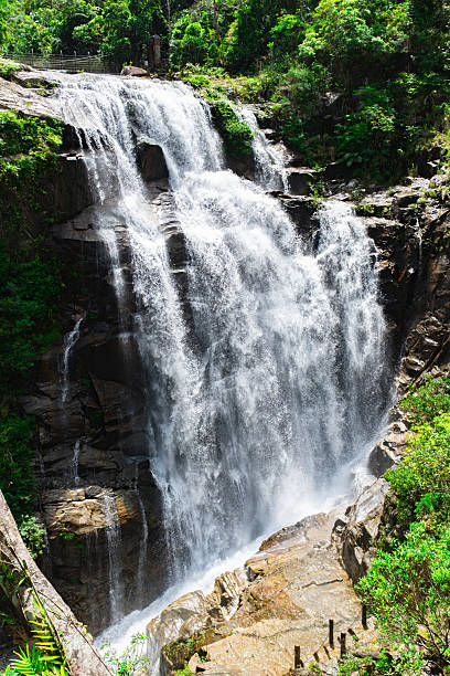 This vertical landscape image captures a powerful waterfall tumbling down a steep, textured rock face. The rushing water splits into multiple streams, creating a curtain of white foam and spray against the dark stones. Lush, vibrant green vegetation and trees frame the top and sides of the falls, indicating a dense forest or tropical jungle setting. The bright lighting emphasizes the movement of the water and the natural beauty of the secluded location.