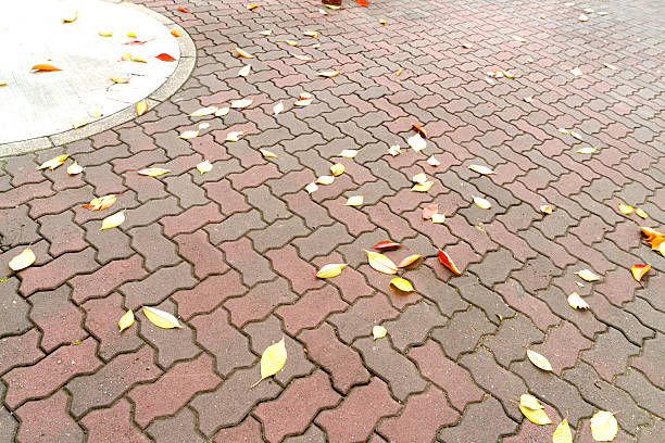 Fallen yellow and orange autumn leaves scattered across an interlocking brick pavement. High angle view of a city sidewalk or park path during the fall season with soft natural lighting.