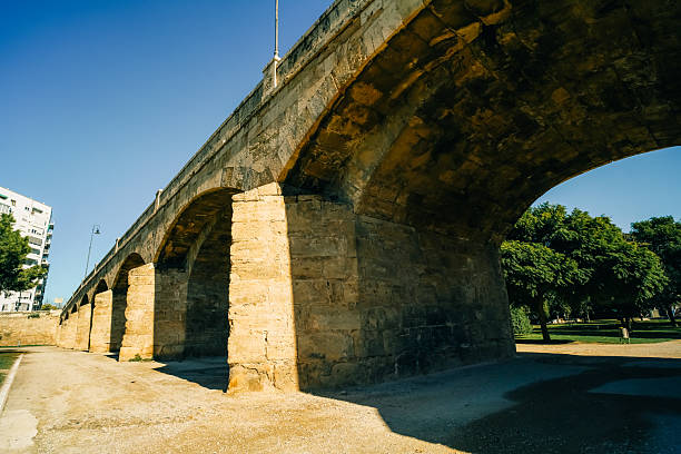 Turia Gardens and Pont de Mar bridge in Valencia, Spain . High quality photo
