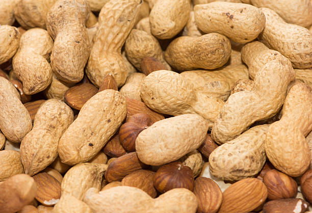 istock mixture of nuts of different varieties and sizes 2252855066