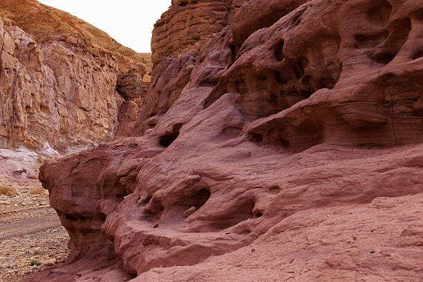Bizarre stone structures and tracery, created by the nature, in Eilat Mountains nature reserve. Colorful pattern created by the nature on a rock wall. Colorful sandstone. Red rocky mountains. High quality photo