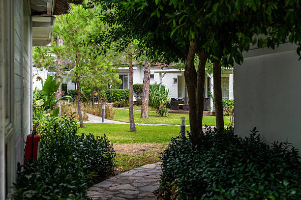istock Pathway leads through greenery in a resort area with buildings and trees under a clear sky 2252857998