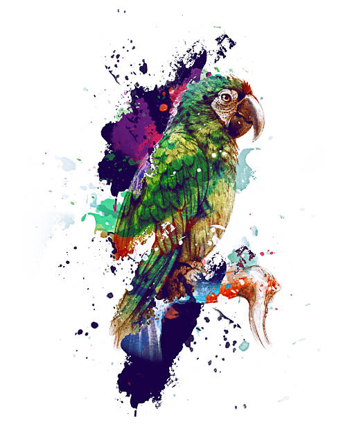 MACAW IN COLORFUL TONES WITH SPLASHES OF PAINT