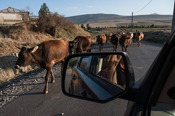 istock Attractions of Georgia 2252865337