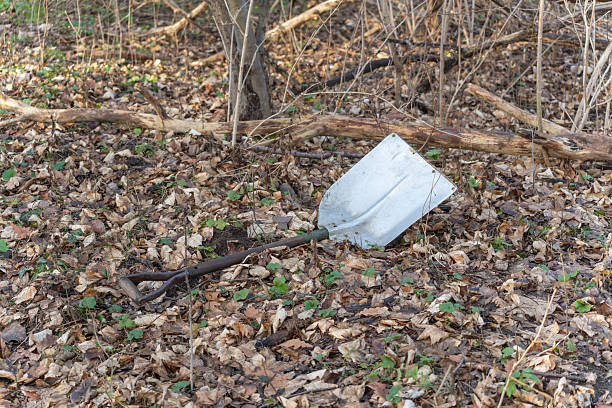 Abandoned shovel lying on a forest floor covered with dry leaves. The forgotten tool suggests human presence slowly reclaimed by nature.