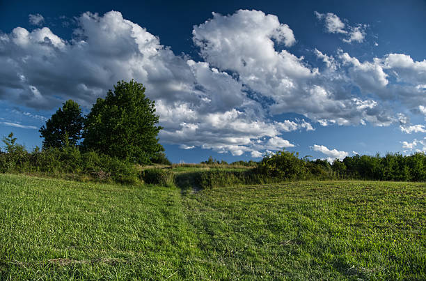 Rural landscape with clouds and green field, summer day