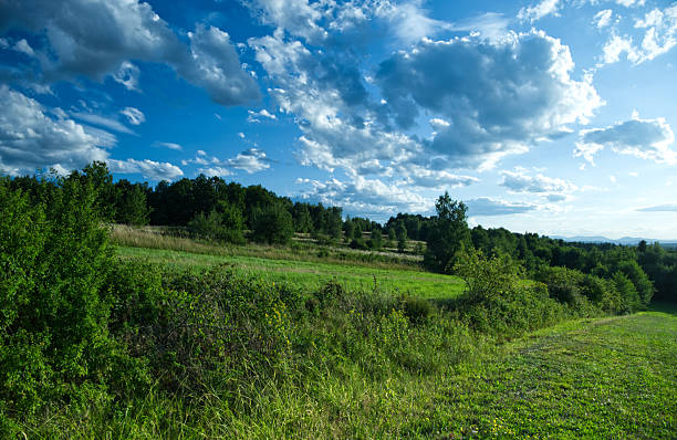 istock A nostalgic, sunny summer afternoon landscape with rolling hills, fields, and thickets. 2252870646
