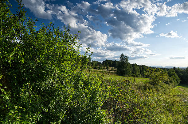 Summer is a time for wandering through the natural surroundings of the countryside.