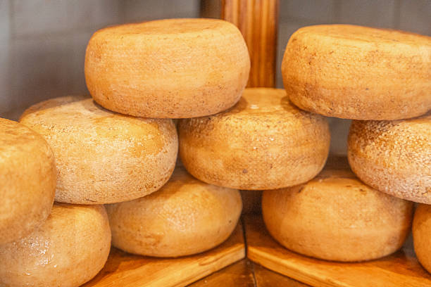 Round cheese wheels stored on wooden shelves in cheese shop. Traditional food storage and artisan production