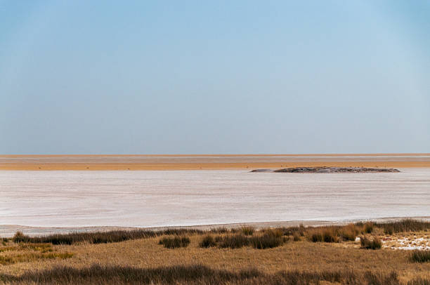 An overview of the great salt pan in the center of Etosha National Park in Namibia.