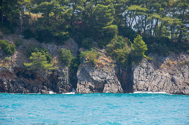 Scenic view of rocky cliffs covered with pine trees beside vibrant blue sea under daylight.